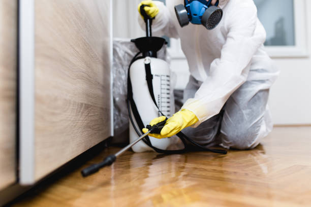 Best Exterminator Services  in Silver City, NM