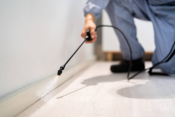 Best Pest Control for Businesses  in Silver City, NM