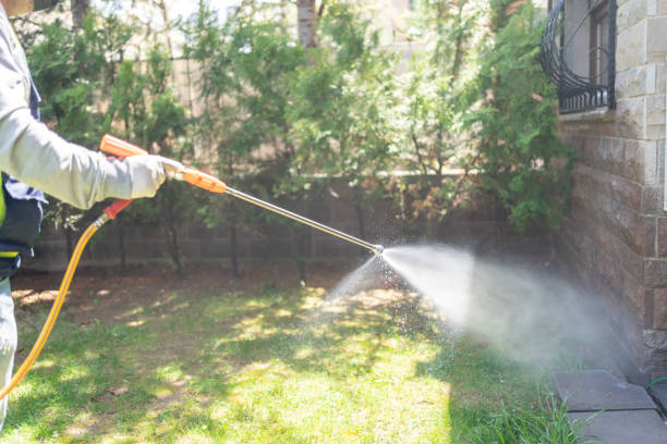 Best Emergency Pest Control  in Silver City, NM
