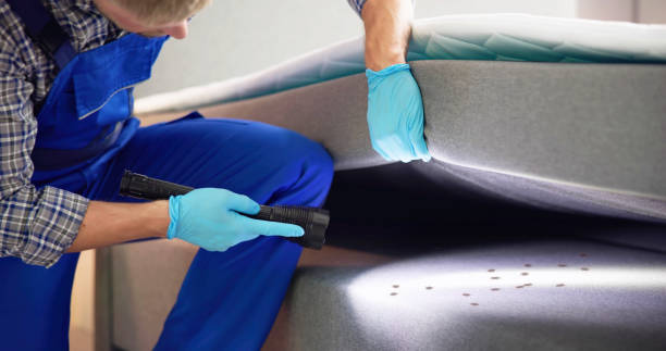 Best Mosquito Control Services  in Silver City, NM