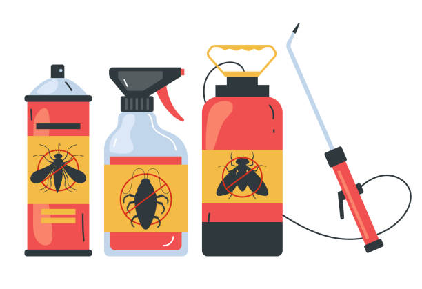 Best Affordable Pest Control Services  in Silver City, NM