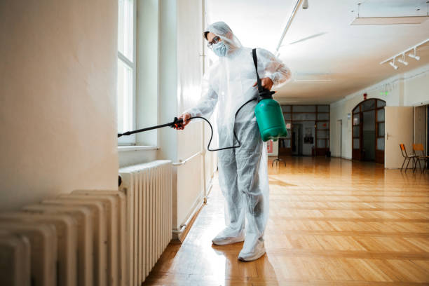 Best Best Pest Control Near Me  in Silver City, NM