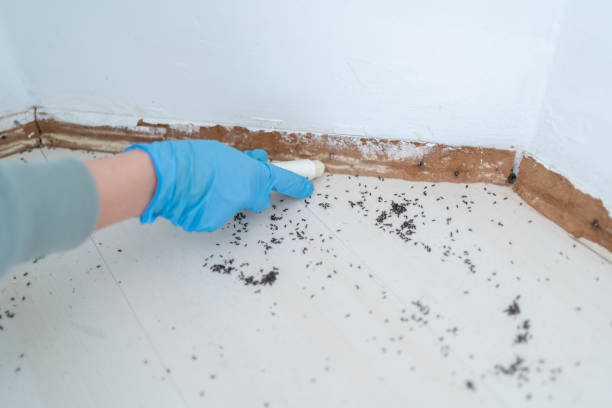 Best Pest Control Cost  in Silver City, NM